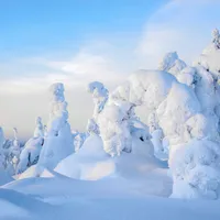 riisitunturi national park in inverno